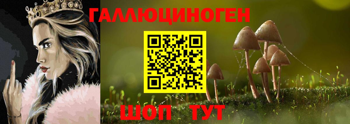 Ивантеевка  Галлюциногенные грибы GOLDEN TEACHER  Галлюциногенные грибы прущие грибы  где продают   Вход с VPN 